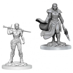 Nolzur's Marvelous Miniatures - Orc Fighter Female (W20)